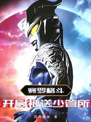 赛罗格斗赛罗奥特曼格斗