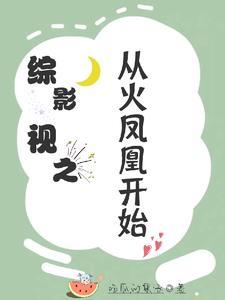 综影视空间之火凤凰